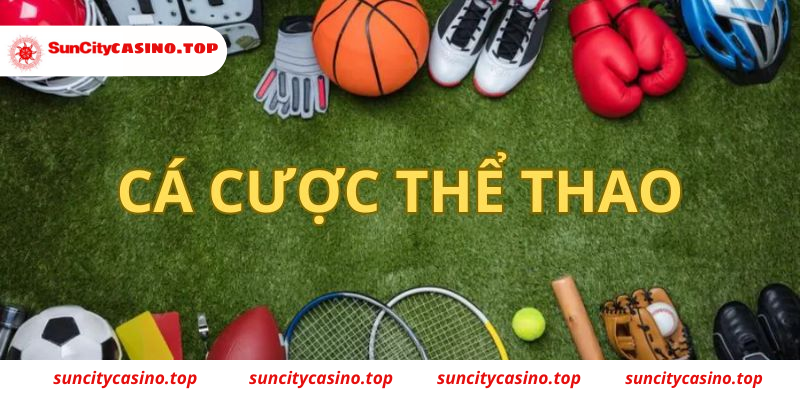 Các môn thể thao khác tại Suncity